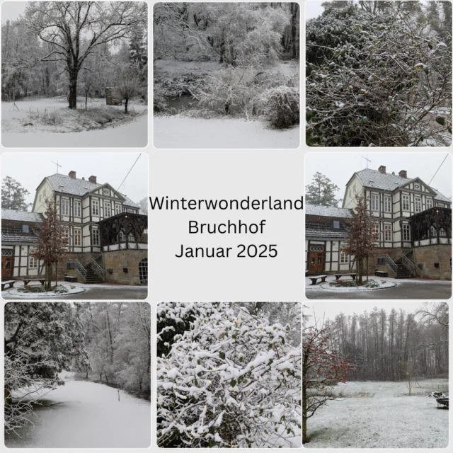 Auch bei uns hat der Schnee ein schönes Winterwunderland entstehen lassen.

Kommen Sie gerne ab 13 Uhr in unser Café und genießen Sie bei einem leckeren Heiß Getränk die friedliche Atmosphäre.