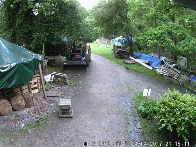 Tierische Beobachtungen unserer Wildkamera der letzten Monate.

Erkennt Ihr sie?