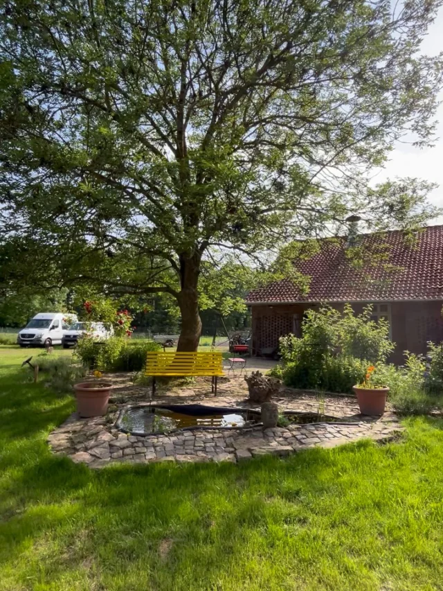 Dieses Frühjahr wurde unser Teich tatkräftig mit Mitarbeitern und Bewohnern auf Vordermann gebracht. Wir finden: das Ergebnis kann sich sehen lassen und dient nun als kleine Oase für schöne Sonnentage ☀️

#gemeinsam #teamwork #gartenparadies #oase #gartenliebe