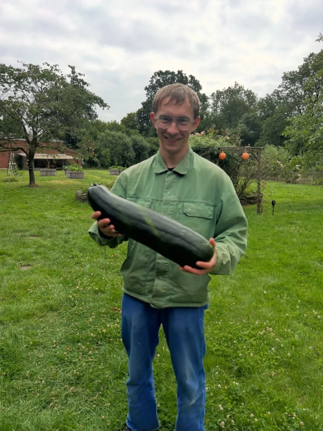 "Einen halben Meter Zucchini bitte..."💁😄 
Unsere Zucchiniernte kann sich mal wieder sehen lassen. Wir denken: nur mit ausreichend liebevoller und guter Pflege, kann man so über sich hinaus wachsen 😉 

#gartenliebe #gartenarbeit #zucchini #eigenanbaugemüse #hofleben